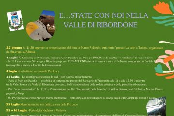 Manifestazioni estive a Ribordone